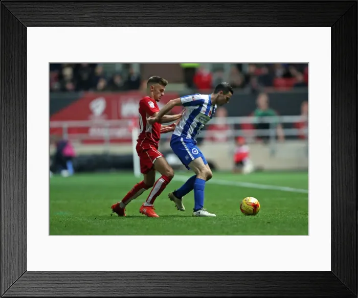 Framed Print : Brighton and Hove Albion vs. Bristol City: Championship Showdown at Ashton Gate Stadium (November 2016) Framed Print : Brighton and Hove Albion vs. Bristol City: Championship Showdown at Ashton Gate Stadium (November 2016)