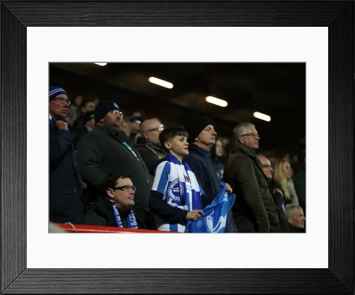 Framed Print : Brighton and Hove Albion vs. Bristol City: EFL Sky Bet Championship Showdown at Ashton Gate Stadium (Nov 2016) Framed Print : Brighton and Hove Albion vs. Bristol City: EFL Sky Bet Championship Showdown at Ashton Gate Stadium (Nov 2016)