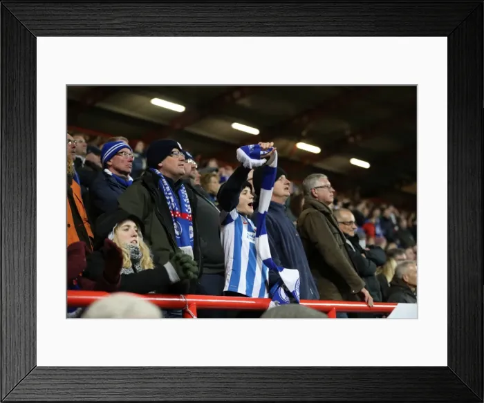 Framed Print : Brighton and Hove Albion vs. Bristol City: Championship Showdown at Ashton Gate Stadium (November 2016) Framed Print : Brighton and Hove Albion vs. Bristol City: Championship Showdown at Ashton Gate Stadium (November 2016)