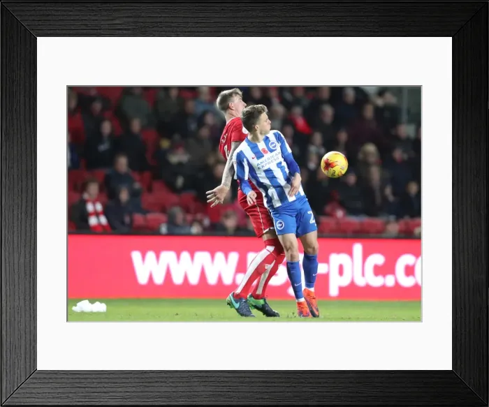 Framed Print : Brighton and Hove Albion vs. Bristol City: EFL Sky Bet Championship Showdown at Ashton Gate Stadium (November 2016)