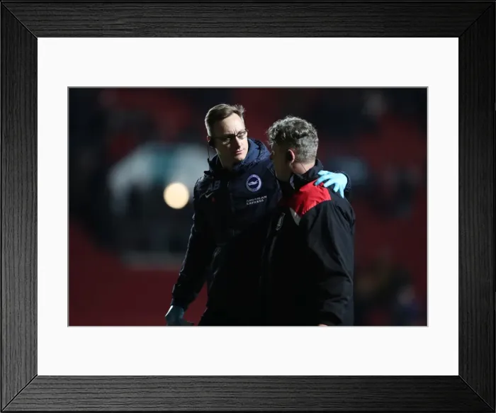 Framed Print : Brighton and Hove Albion vs. Bristol City: A Championship Battle at Ashton Gate Stadium (November 2016) Framed Print : Brighton and Hove Albion vs. Bristol City: A Championship Battle at Ashton Gate Stadium (November 2016)