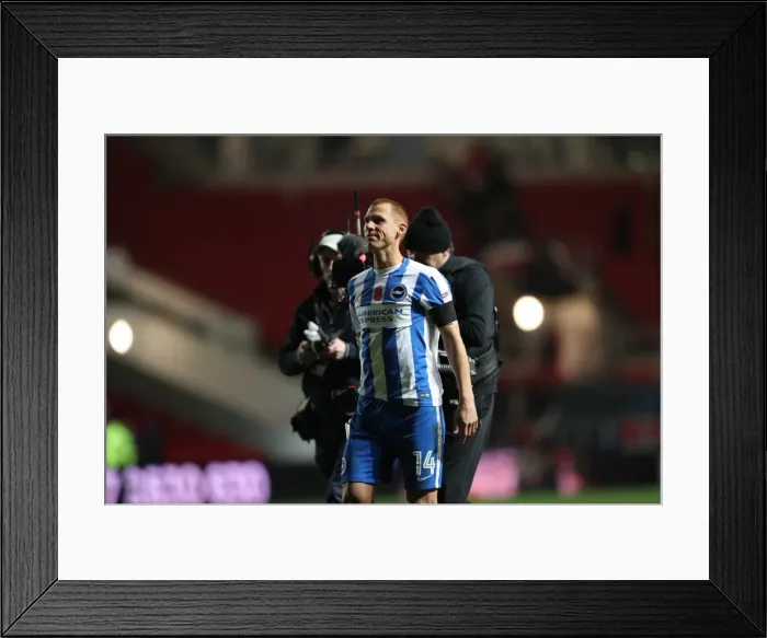 Framed Print : Championship Showdown: Brighton and Hove Albion vs. Bristol City at Ashton Gate Stadium (November 2016) Framed Print : Championship Showdown: Brighton and Hove Albion vs. Bristol City at Ashton Gate Stadium (November 2016)