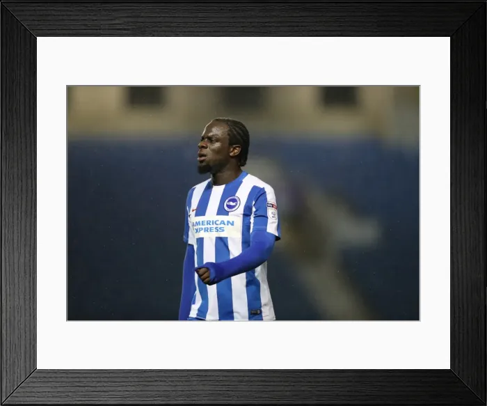 Framed Print : Brighton & Hove Albion U23s vs Leyton Orient: Checkatrade EFL Trophy Clash at American Express Community Stadium (November 8, 2016) Framed Print : Brighton & Hove Albion U23s vs Leyton Orient: Checkatrade EFL Trophy Clash at American Express Community Stadium (November 8, 2016)