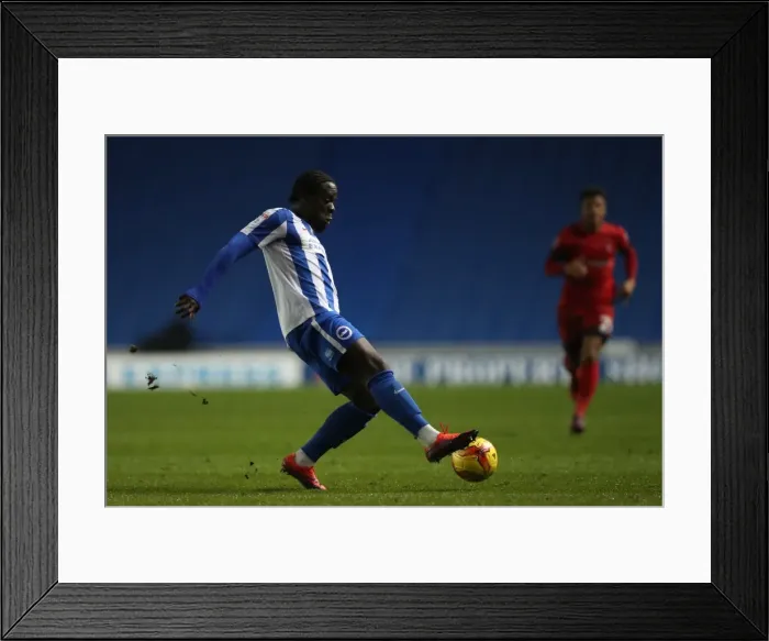 Framed Print : Brighton & Hove Albion U23s vs Leyton Orient: Checkatrade EFL Trophy Clash at American Express Community Stadium (Nov 8, 2016) Framed Print : Brighton & Hove Albion U23s vs Leyton Orient: Checkatrade EFL Trophy Clash at American Express Community Stadium (Nov 8, 2016)