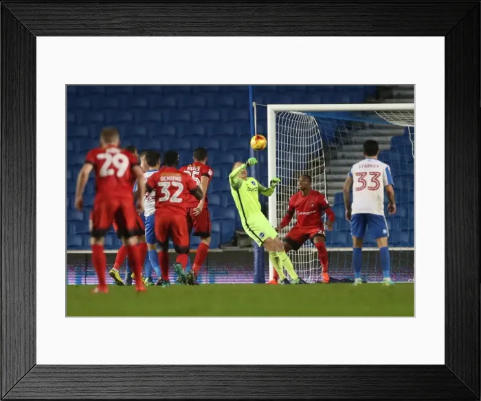 Framed Print : Brighton & Hove Albion U23s vs Leyton Orient: Checkatrade EFL Trophy Clash at American Express Community Stadium (November 8, 2016) Framed Print : Brighton & Hove Albion U23s vs Leyton Orient: Checkatrade EFL Trophy Clash at American Express Community Stadium (November 8, 2016)