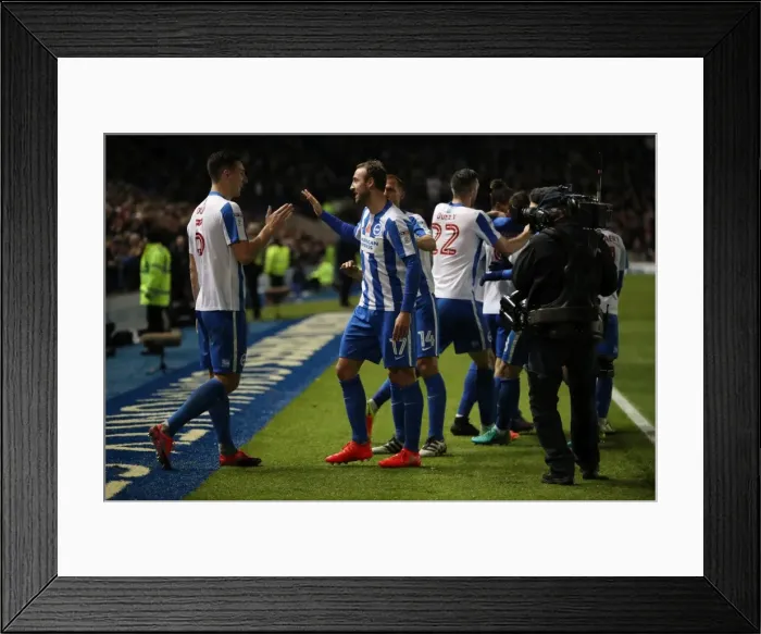 Framed Print : Championship Showdown: Brighton and Hove Albion vs. Aston Villa (November 18, 2016) Framed Print : Championship Showdown: Brighton and Hove Albion vs. Aston Villa (November 18, 2016)