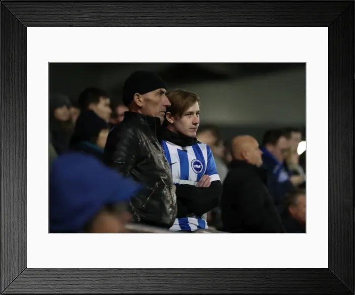 Framed Print : Brighton and Hove Albion vs. Aston Villa: Championship Clash at American Express Community Stadium (November 18, 2016) Framed Print : Brighton and Hove Albion vs. Aston Villa: Championship Clash at American Express Community Stadium (November 18, 2016)