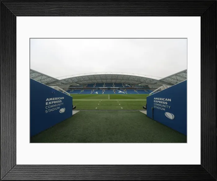 Framed Print : Championship Showdown: Brighton & Hove Albion vs. Fulham (26th November 2016) - American Express Community Stadium