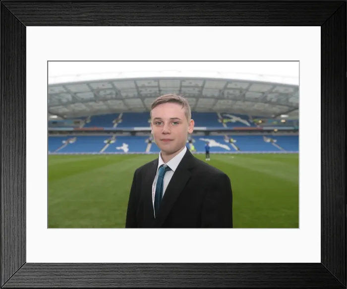 Framed Print : Brighton and Hove Albion vs. Fulham: EFL Sky Bet Championship Showdown at American Express Community Stadium (November 26, 2016) Framed Print : Brighton and Hove Albion vs. Fulham: EFL Sky Bet Championship Showdown at American Express Community Stadium (November 26, 2016)