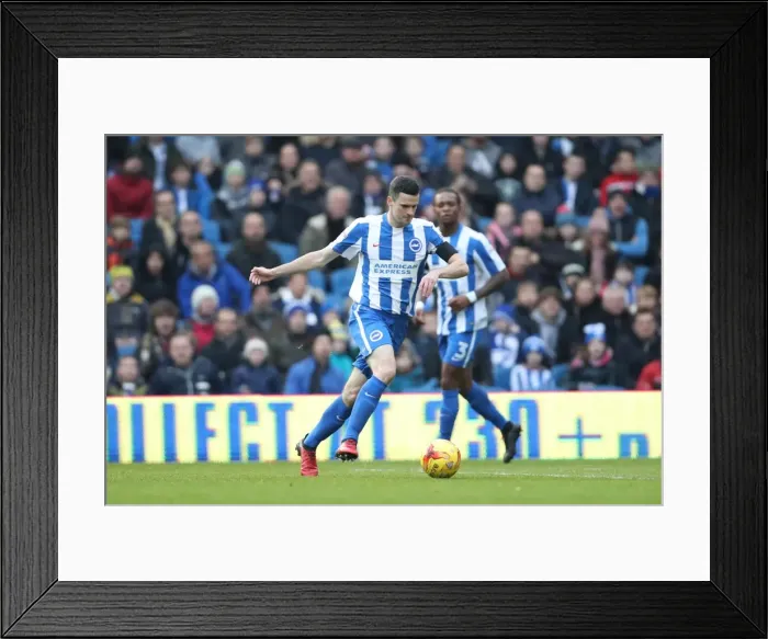 Framed Print : Brighton and Hove Albion vs Fulham: EFL Sky Bet Championship Showdown at American Express Community Stadium (Nov 2016) Framed Print : Brighton and Hove Albion vs Fulham: EFL Sky Bet Championship Showdown at American Express Community Stadium (Nov 2016)