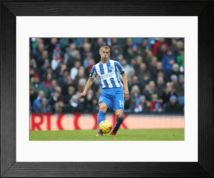 Framed Print : Brighton and Hove Albion vs Fulham: Championship Clash at American Express Community Stadium (November 26, 2016) Framed Print : Brighton and Hove Albion vs Fulham: Championship Clash at American Express Community Stadium (November 26, 2016)