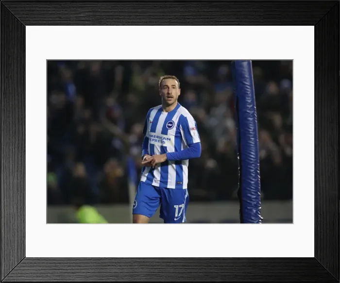 Framed Print : Brighton and Hove Albion vs. Fulham: A Fierce EFL Sky Bet Championship Clash at American Express Community Stadium (26NOV16) Framed Print : Brighton and Hove Albion vs. Fulham: A Fierce EFL Sky Bet Championship Clash at American Express Community Stadium (26NOV16)