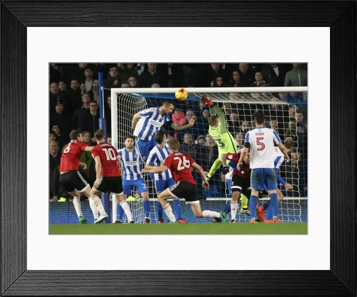 Framed Print : Championship Clash: Brighton and Hove Albion vs. Fulham at American Express Community Stadium (November 2016) Framed Print : Championship Clash: Brighton and Hove Albion vs. Fulham at American Express Community Stadium (November 2016)
