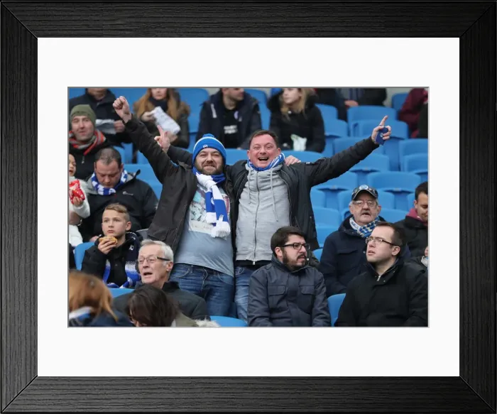 Framed Print : Brighton and Hove Albion vs. Fulham: A Fight in the EFL Sky Bet Championship (November 2016) Framed Print : Brighton and Hove Albion vs. Fulham: A Fight in the EFL Sky Bet Championship (November 2016)