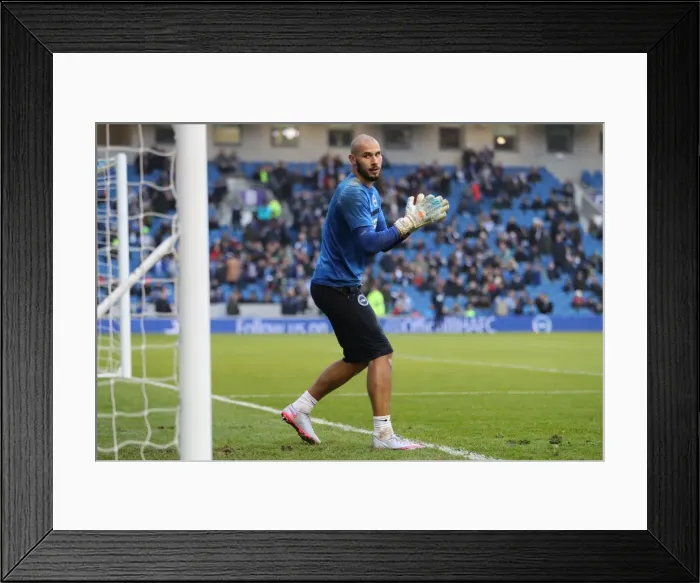 Framed Print : Championship Clash: Brighton and Hove Albion vs. Fulham at American Express Community Stadium (November 2016) Framed Print : Championship Clash: Brighton and Hove Albion vs. Fulham at American Express Community Stadium (November 2016)