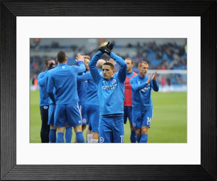 Framed Print : Brighton and Hove Albion vs. Fulham: A Championship Battle at American Express Community Stadium (26NOV16)