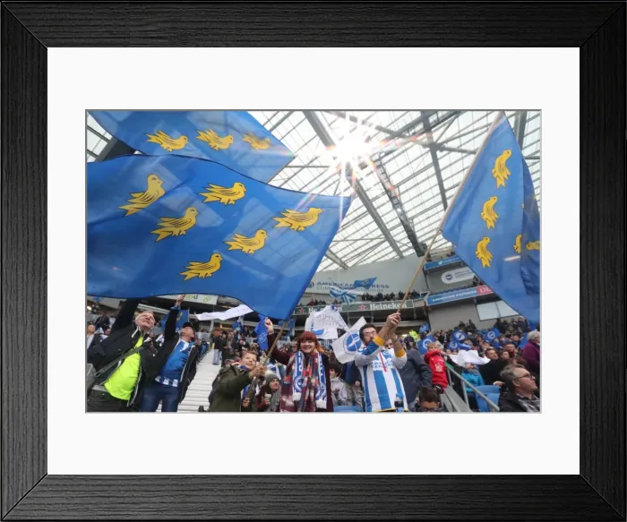 Framed Print : Championship Clash: Brighton and Hove Albion vs. Fulham at American Express Community Stadium (November 26, 2016) Framed Print : Championship Clash: Brighton and Hove Albion vs. Fulham at American Express Community Stadium (November 26, 2016)