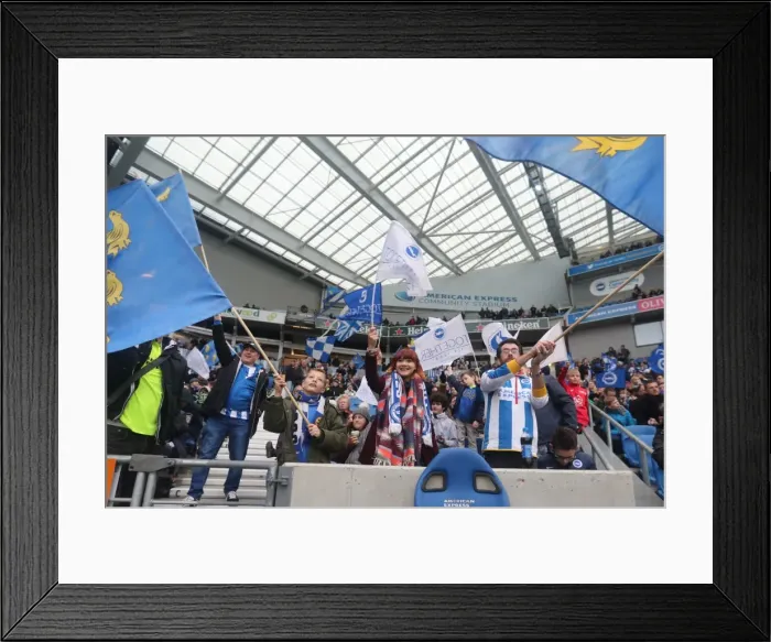 Framed Print : Championship Clash: Brighton and Hove Albion vs. Fulham (November 2016) Framed Print : Championship Clash: Brighton and Hove Albion vs. Fulham (November 2016)