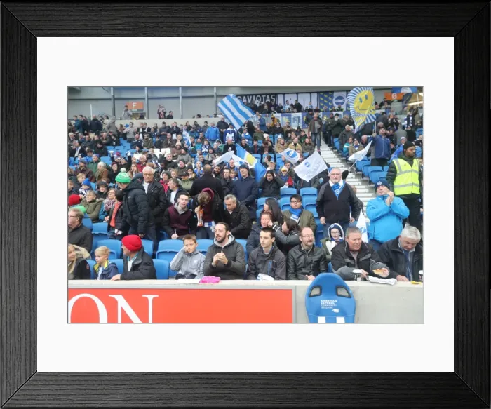 Framed Print : Brighton and Hove Albion vs. Fulham: A Championship Battle at American Express Community Stadium (26NOV16) Framed Print : Brighton and Hove Albion vs. Fulham: A Championship Battle at American Express Community Stadium (26NOV16)