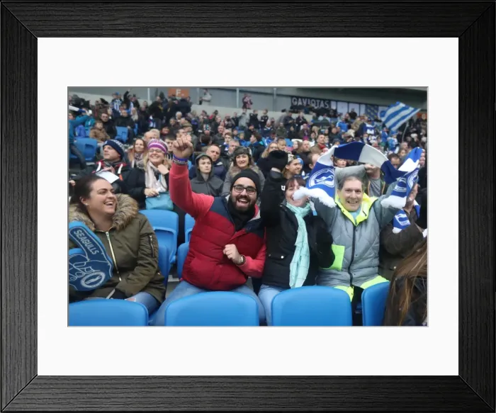 Framed Print : Championship Showdown: Brighton and Hove Albion vs. Fulham at American Express Community Stadium (November 2016) Framed Print : Championship Showdown: Brighton and Hove Albion vs. Fulham at American Express Community Stadium (November 2016)