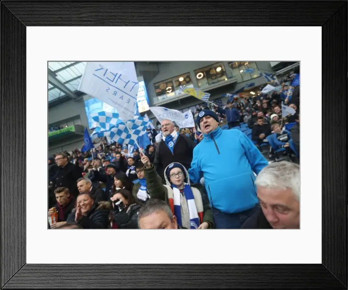 Framed Print : Brighton and Hove Albion vs. Fulham: A Tight Battle in the EFL Sky Bet Championship (November 2016) Framed Print : Brighton and Hove Albion vs. Fulham: A Tight Battle in the EFL Sky Bet Championship (November 2016)