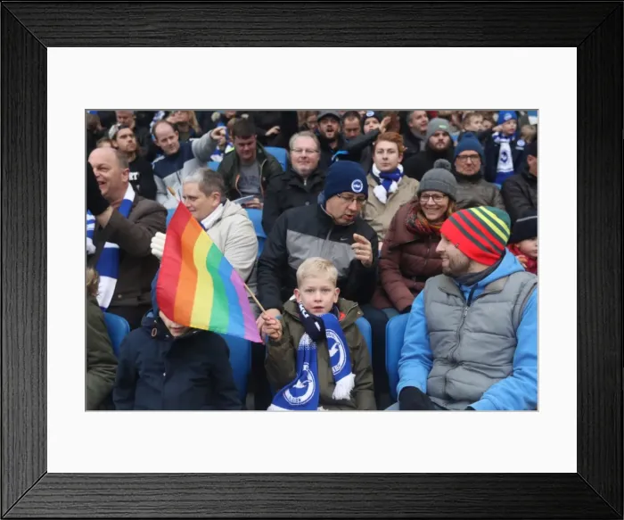Framed Print : Brighton and Hove Albion vs. Fulham: A Championship Battle at American Express Community Stadium (26NOV16) Framed Print : Brighton and Hove Albion vs. Fulham: A Championship Battle at American Express Community Stadium (26NOV16)
