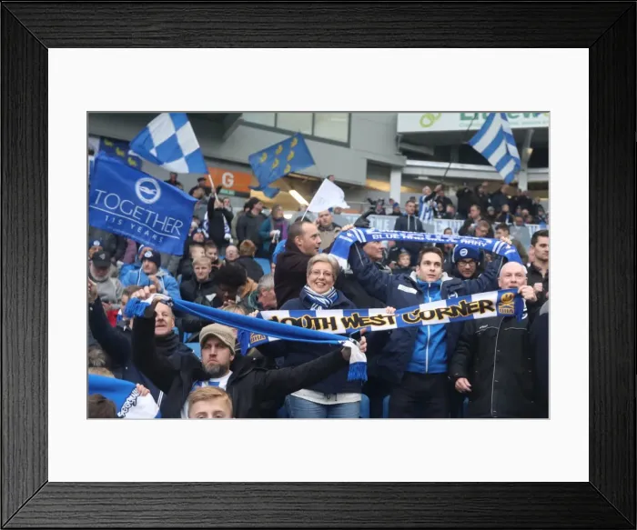 Framed Print : Brighton and Hove Albion vs. Fulham: A Championship Battle at American Express Community Stadium (26NOV16) Framed Print : Brighton and Hove Albion vs. Fulham: A Championship Battle at American Express Community Stadium (26NOV16)