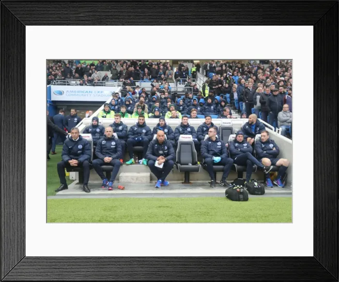Framed Print : Championship Clash: Brighton and Hove Albion vs. Fulham at American Express Community Stadium (November 2016) Framed Print : Championship Clash: Brighton and Hove Albion vs. Fulham at American Express Community Stadium (November 2016)