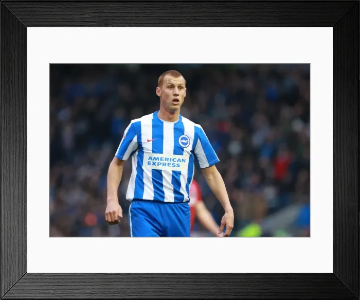 Framed Print : Steve Sidwell in Action: Brighton & Hove Albion vs. Fulham, EFL Sky Bet Championship (November 2016) Framed Print : Steve Sidwell in Action: Brighton & Hove Albion vs. Fulham, EFL Sky Bet Championship (November 2016)