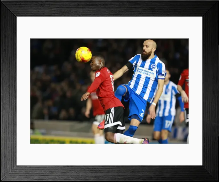 Framed Print : Brighton & Hove Albion vs. Fulham: Intense Clash Between Bruno Saltor and Floyd Ayite in Championship Match (26NOV16) Framed Print : Brighton & Hove Albion vs. Fulham: Intense Clash Between Bruno Saltor and Floyd Ayite in Championship Match (26NOV16)