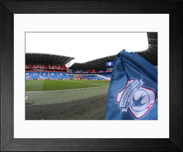 Framed Print : Cardiff City Stadium: Brighton and Hove Albion's Championship Showdown against Cardiff City (03DEC16) Framed Print : Cardiff City Stadium: Brighton and Hove Albion's Championship Showdown against Cardiff City (03DEC16)