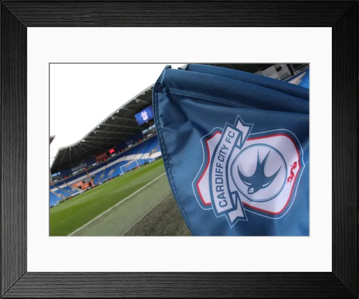 Framed Print : Brighton and Hove Albion's Championship Showdown at Cardiff City Stadium (03DEC16) Framed Print : Brighton and Hove Albion's Championship Showdown at Cardiff City Stadium (03DEC16)