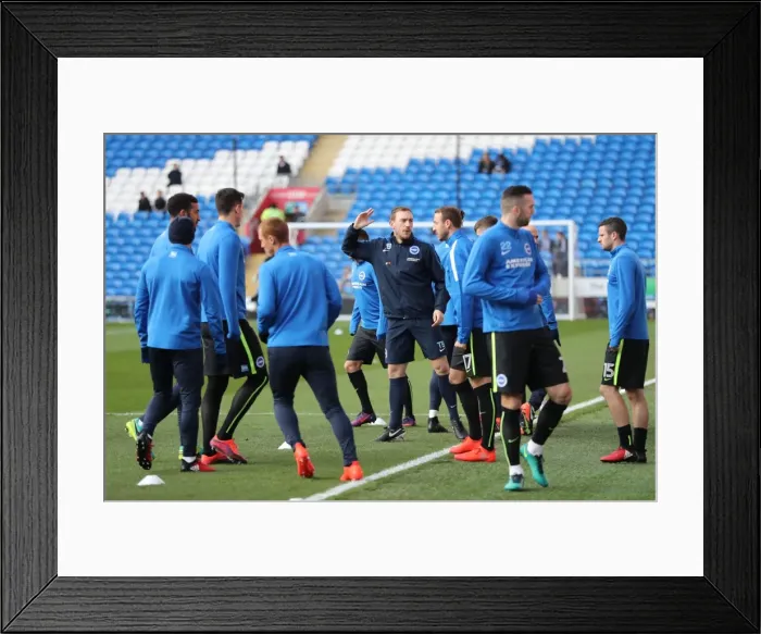 Framed Print : Decisive Moments: Cardiff vs. Brighton & Hove Albion at Cardiff City Stadium (03DEC16)