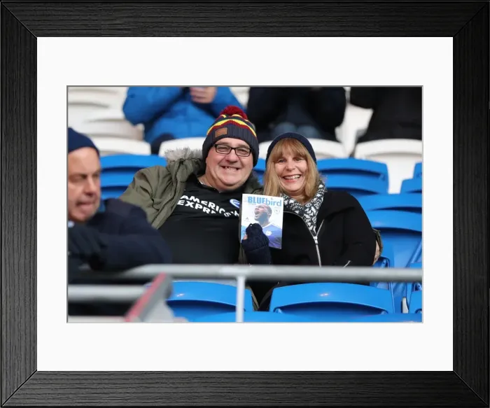 Framed Print : Cardiff vs. Brighton: EFL Sky Bet Championship Showdown at Cardiff City Stadium (03DEC16) Framed Print : Cardiff vs. Brighton: EFL Sky Bet Championship Showdown at Cardiff City Stadium (03DEC16)