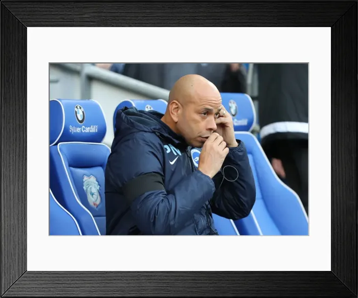 Framed Print : Decisive Moment: Cardiff vs. Brighton & Hove Albion in EFL Sky Bet Championship (03DEC16) Framed Print : Decisive Moment: Cardiff vs. Brighton & Hove Albion in EFL Sky Bet Championship (03DEC16)