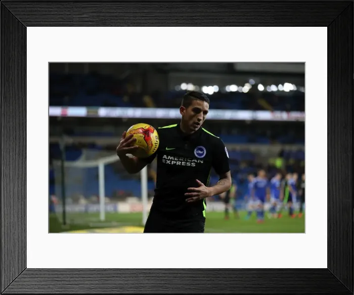 Framed Print : Decisive Moments: Cardiff City vs. Brighton & Hove Albion at Cardiff City Stadium (03DEC16) Framed Print : Decisive Moments: Cardiff City vs. Brighton & Hove Albion at Cardiff City Stadium (03DEC16)