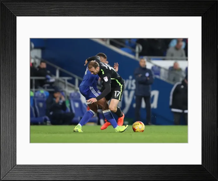 Framed Print : Championship Showdown: Cardiff vs. Brighton at Cardiff City Stadium (03DEC16) Framed Print : Championship Showdown: Cardiff vs. Brighton at Cardiff City Stadium (03DEC16)