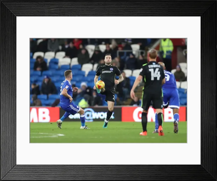Framed Print : Cardiff vs. Brighton: EFL Sky Bet Championship Showdown at Cardiff City Stadium (03DEC16) Framed Print : Cardiff vs. Brighton: EFL Sky Bet Championship Showdown at Cardiff City Stadium (03DEC16)