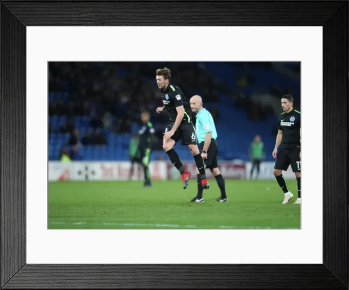 Framed Print : Cardiff vs. Brighton: EFL Sky Bet Championship Showdown at Cardiff City Stadium (03DEC16) Framed Print : Cardiff vs. Brighton: EFL Sky Bet Championship Showdown at Cardiff City Stadium (03DEC16)