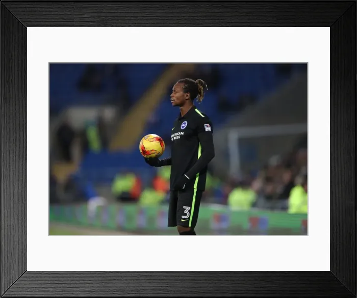 Framed Print : Decisive Moment: Cardiff vs. Brighton and Hove Albion in EFL Sky Bet Championship (03DEC16) Framed Print : Decisive Moment: Cardiff vs. Brighton and Hove Albion in EFL Sky Bet Championship (03DEC16)