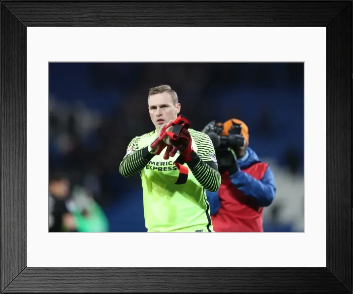 Framed Print : Decisive Moments: Cardiff City vs. Brighton & Hove Albion at Cardiff City Stadium (03DEC16)