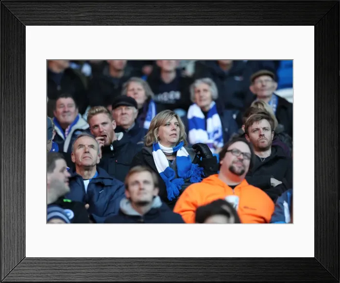 Framed Print : Decisive Moments: Cardiff vs. Brighton & Hove Albion at Cardiff City Stadium (03DEC16)