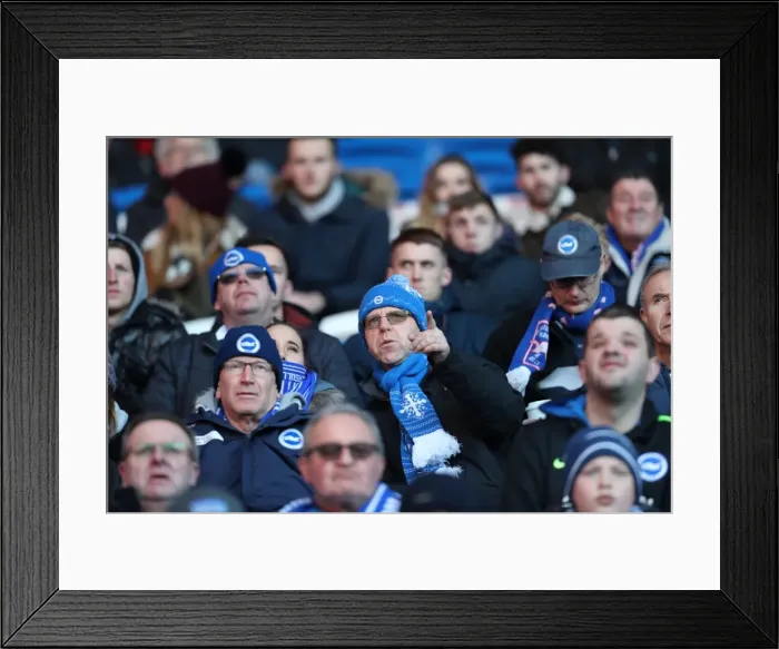 Framed Print : Decisive Moment: Cardiff vs. Brighton - EFL Sky Bet Championship Clash (03DEC16) Framed Print : Decisive Moment: Cardiff vs. Brighton - EFL Sky Bet Championship Clash (03DEC16)