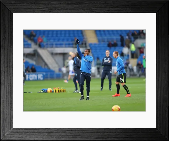 Framed Print : Cardiff vs. Brighton: Championship Showdown at Cardiff City Stadium (03DEC16) Framed Print : Cardiff vs. Brighton: Championship Showdown at Cardiff City Stadium (03DEC16)