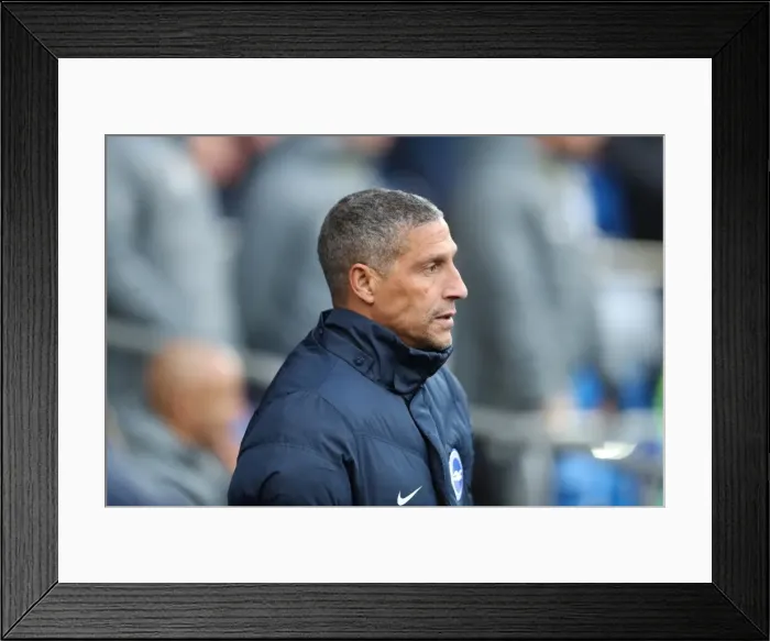 Framed Print : Decisive Moments: Cardiff vs. Brighton & Hove Albion at Cardiff City Stadium (03DEC16) Framed Print : Decisive Moments: Cardiff vs. Brighton & Hove Albion at Cardiff City Stadium (03DEC16)