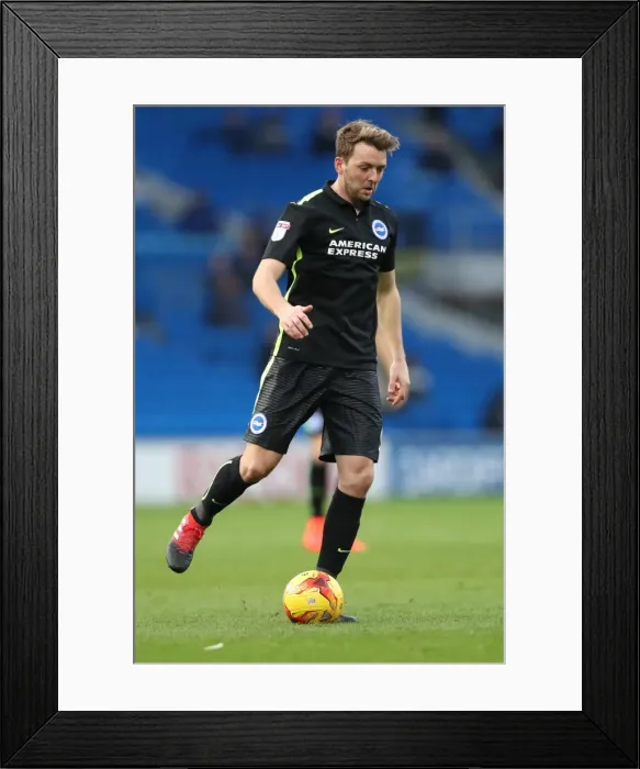 Framed Print : Decisive Moments: Cardiff City vs. Brighton & Hove Albion at Cardiff City Stadium (03DEC16) Framed Print : Decisive Moments: Cardiff City vs. Brighton & Hove Albion at Cardiff City Stadium (03DEC16)