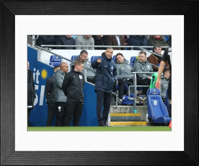 Framed Print : Cardiff vs. Brighton: EFL Sky Bet Championship Showdown at Cardiff City Stadium (03DEC16) Framed Print : Cardiff vs. Brighton: EFL Sky Bet Championship Showdown at Cardiff City Stadium (03DEC16)