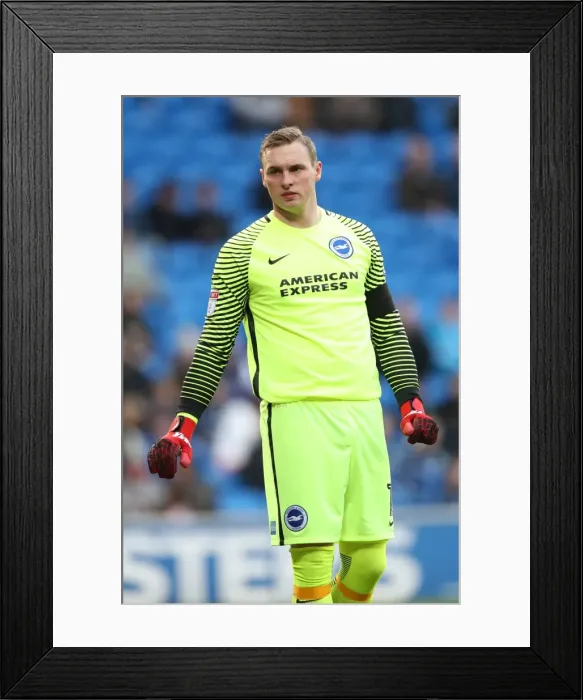 Framed Print : Decisive Moments: Cardiff vs. Brighton & Hove Albion at Cardiff City Stadium (03DEC16) Framed Print : Decisive Moments: Cardiff vs. Brighton & Hove Albion at Cardiff City Stadium (03DEC16)