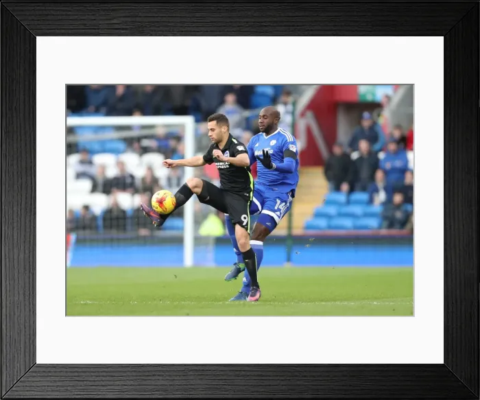 Framed Print : Decisive Moment: Cardiff City vs. Brighton and Hove Albion, EFL Sky Bet Championship (03DEC16) Framed Print : Decisive Moment: Cardiff City vs. Brighton and Hove Albion, EFL Sky Bet Championship (03DEC16)
