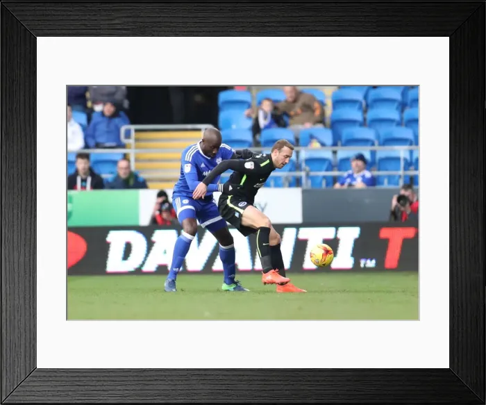 Framed Print : Decisive Moment at Cardiff City Stadium: Cardiff vs. Brighton & Hove Albion, EFL Sky Bet Championship (03DEC16) Framed Print : Decisive Moment at Cardiff City Stadium: Cardiff vs. Brighton & Hove Albion, EFL Sky Bet Championship (03DEC16)